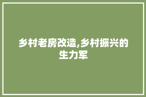 乡村老房改造,乡村振兴的生力军