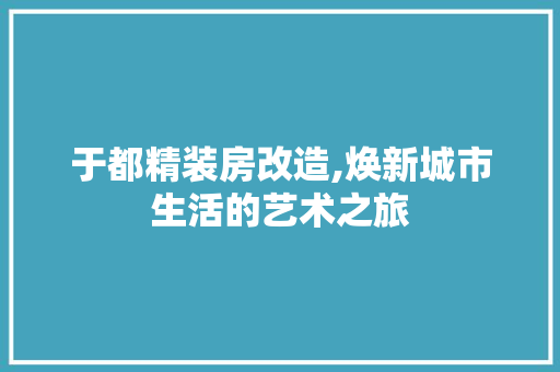 于都精装房改造,焕新城市生活的艺术之旅 装修知识