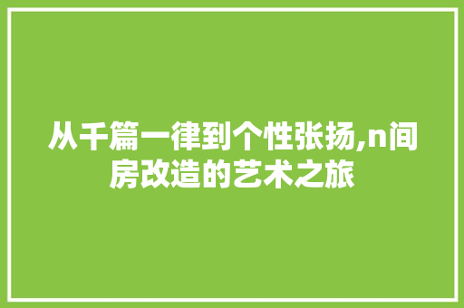 从千篇一律到个性张扬,n间房改造的艺术之旅