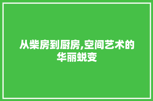 从柴房到厨房,空间艺术的华丽蜕变