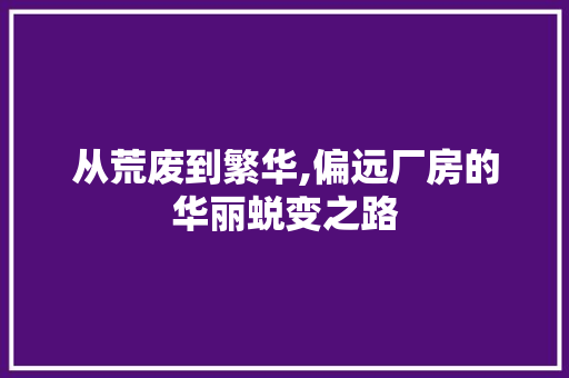 从荒废到繁华,偏远厂房的华丽蜕变之路