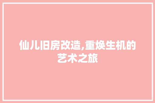 仙儿旧房改造,重焕生机的艺术之旅