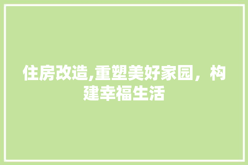 住房改造,重塑美好家园，构建幸福生活