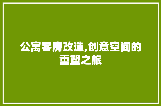 公寓客房改造,创意空间的重塑之旅