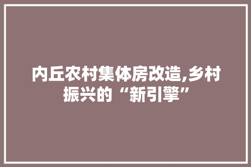 内丘农村集体房改造,乡村振兴的“新引擎”