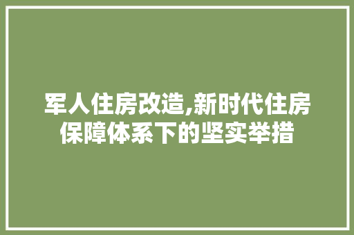 军人住房改造,新时代住房保障体系下的坚实举措