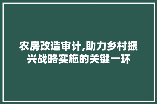 农房改造审计,助力乡村振兴战略实施的关键一环 二手房