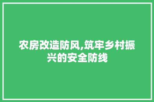 农房改造防风,筑牢乡村振兴的安全防线