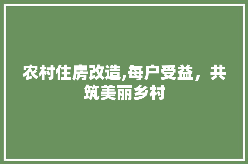 农村住房改造,每户受益，共筑美丽乡村