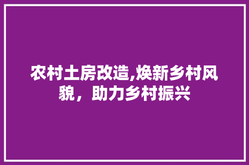农村土房改造,焕新乡村风貌，助力乡村振兴