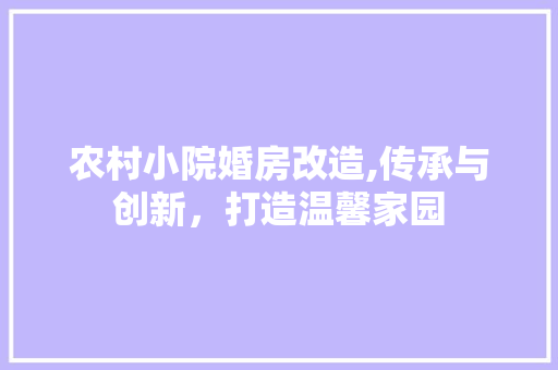 农村小院婚房改造,传承与创新，打造温馨家园