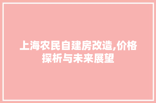 上海农民自建房改造,价格探析与未来展望