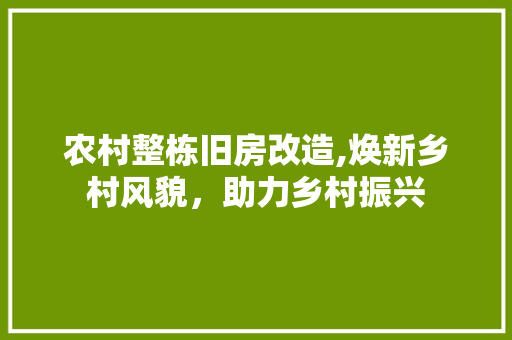 农村整栋旧房改造,焕新乡村风貌，助力乡村振兴 装修知识