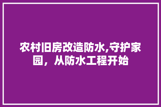 农村旧房改造防水,守护家园，从防水工程开始 家居装饰