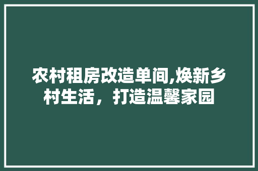 农村租房改造单间,焕新乡村生活，打造温馨家园