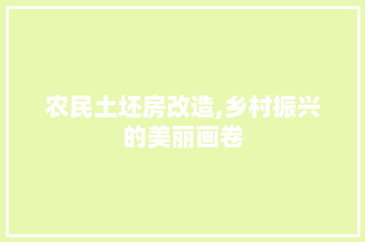 农民土坯房改造,乡村振兴的美丽画卷 家居设计