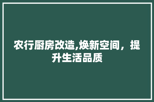 农行厨房改造,焕新空间，提升生活品质 二手房