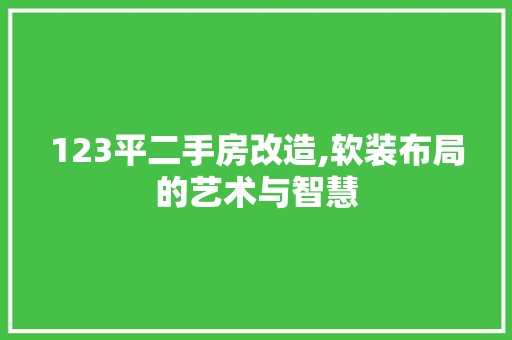 123平二手房改造,软装布局的艺术与智慧