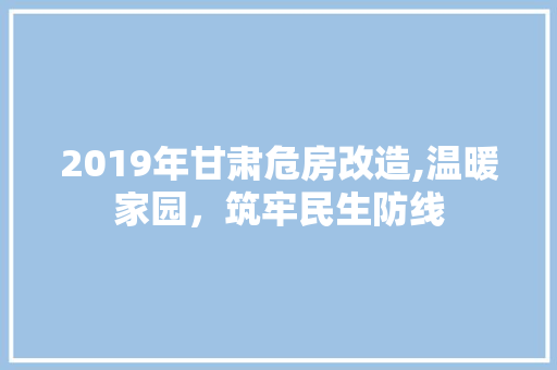 2019年甘肃危房改造,温暖家园，筑牢民生防线 家居装饰