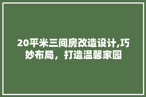 20平米三间房改造设计,巧妙布局，打造温馨家园
