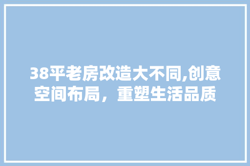 38平老房改造大不同,创意空间布局，重塑生活品质 装修知识