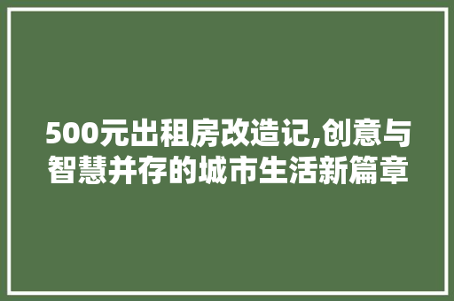 500元出租房改造记,创意与智慧并存的城市生活新篇章