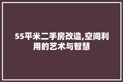 55平米二手房改造,空间利用的艺术与智慧
