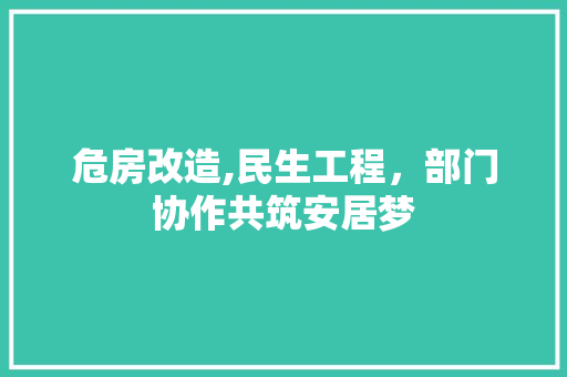 危房改造,民生工程，部门协作共筑安居梦