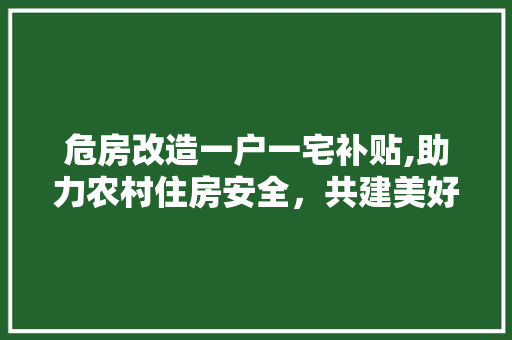 危房改造一户一宅补贴,助力农村住房安全，共建美好家园