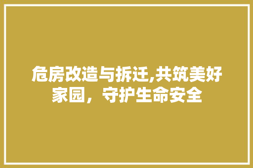 危房改造与拆迁,共筑美好家园，守护生命安全