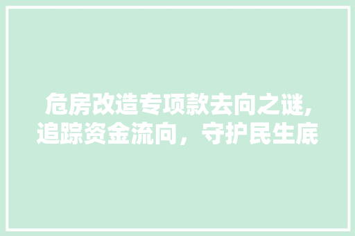 危房改造专项款去向之谜,追踪资金流向，守护民生底线