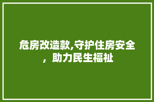 危房改造款,守护住房安全，助力民生福祉