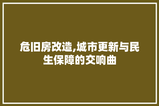 危旧房改造,城市更新与民生保障的交响曲 家居装饰