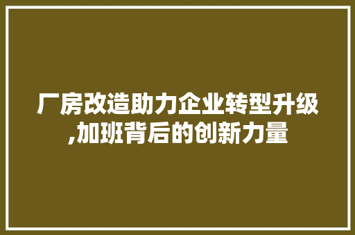 厂房改造助力企业转型升级,加班背后的创新力量