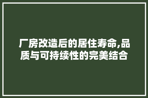 厂房改造后的居住寿命,品质与可持续性的完美结合