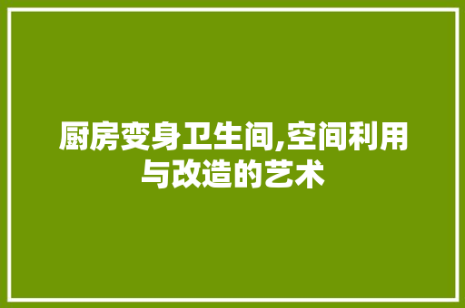 厨房变身卫生间,空间利用与改造的艺术 家居装饰