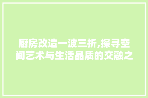 厨房改造一波三折,探寻空间艺术与生活品质的交融之路
