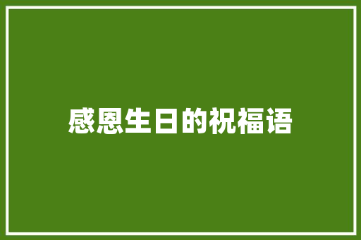 厨房改造四根管道布局的艺术_打造高效舒适烹饪空间