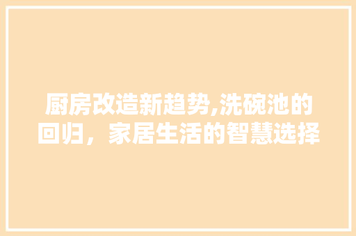厨房改造新趋势,洗碗池的回归，家居生活的智慧选择