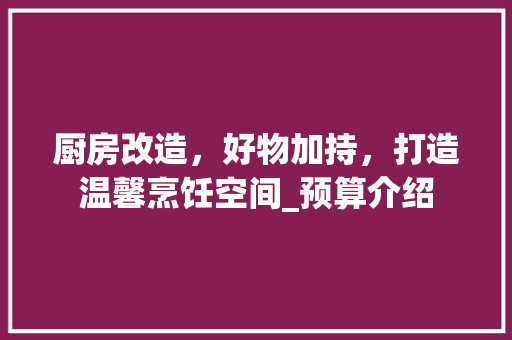 厨房改造，好物加持，打造温馨烹饪空间_预算介绍 家居设计