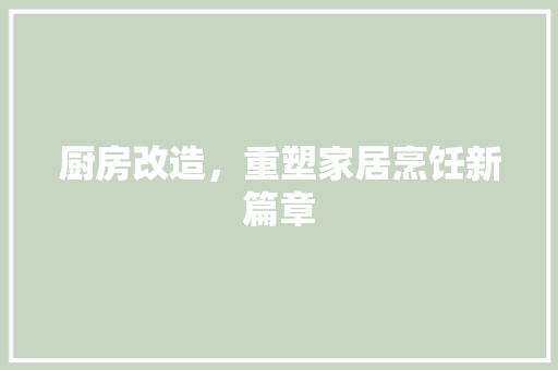 厨房改造，重塑家居烹饪新篇章 二手房