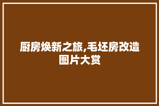 厨房焕新之旅,毛坯房改造图片大赏 二手房