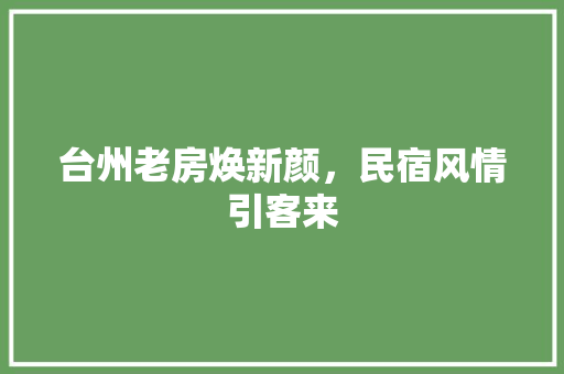 台州老房焕新颜，民宿风情引客来 买房须知