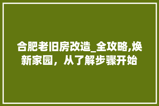 合肥老旧房改造_全攻略,焕新家园，从了解步骤开始