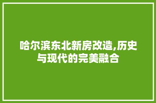 哈尔滨东北新房改造,历史与现代的完美融合