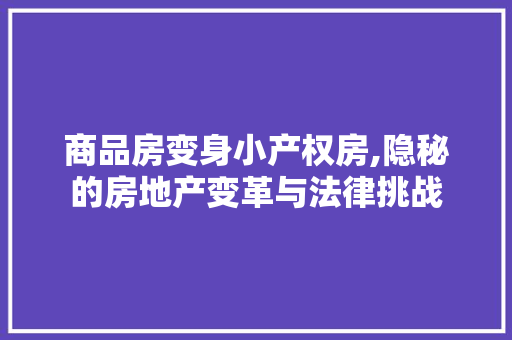 商品房变身小产权房,隐秘的房地产变革与法律挑战 二手房