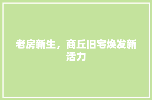 老房新生，商丘旧宅焕发新活力 家居装饰