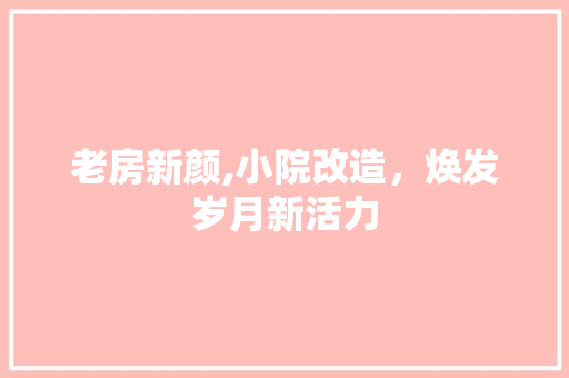 老房新颜,小院改造，焕发岁月新活力 买房须知