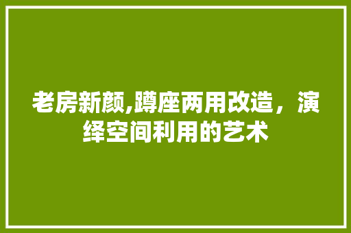 老房新颜,蹲座两用改造，演绎空间利用的艺术 装修知识