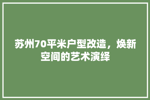 苏州70平米户型改造，焕新空间的艺术演绎 装修知识